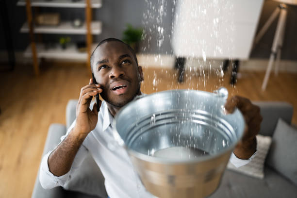 Best Water damage restoration near me  in Clayton, OH