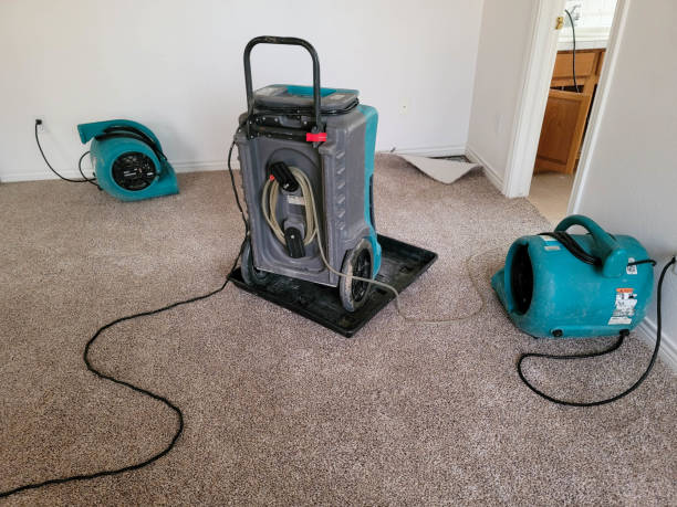 Best 24/7 water damage repair  in Clayton, OH