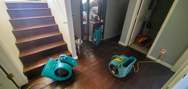 Best Flood damage cleanup  in Clayton, OH