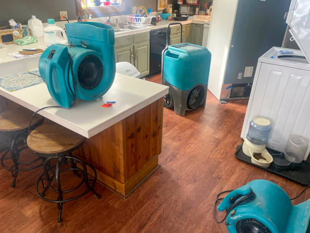 Best Professional water damage repair  in Clayton, OH