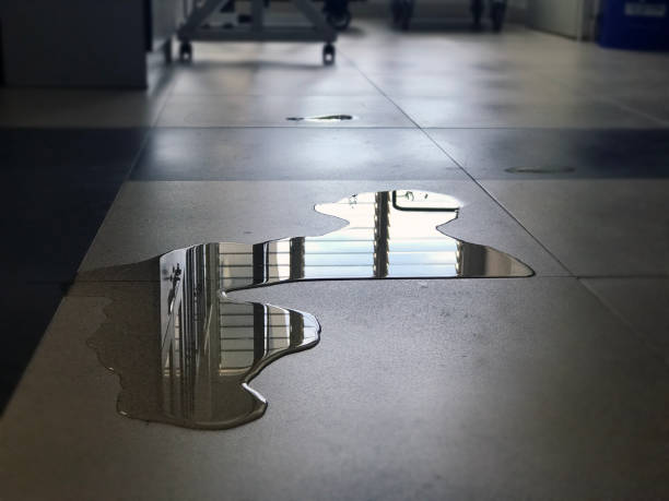 Best Water damage contractors near me  in Clayton, OH