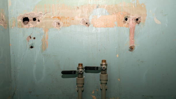 Best Emergency water damage restoration  in Clayton, OH