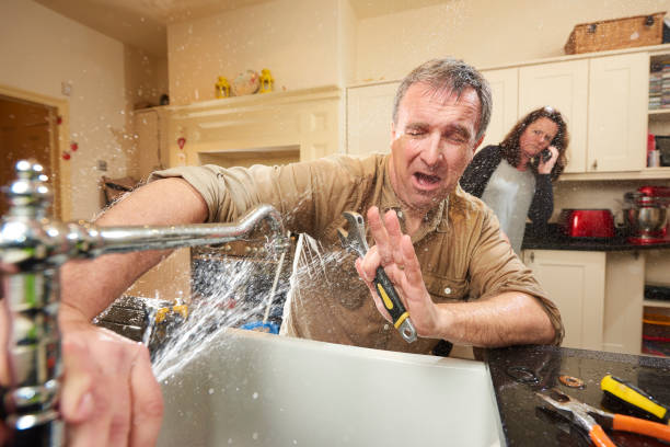 Best Carpet water damage restoration  in Clayton, OH